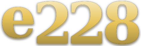 e228 logo
